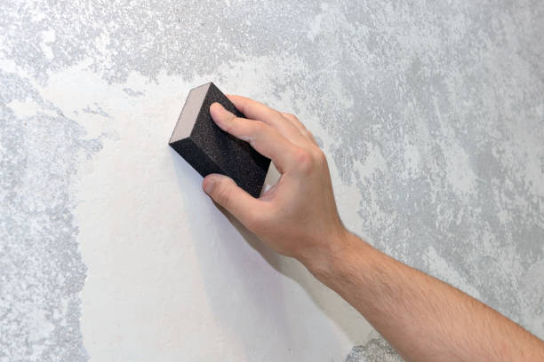 Best Basement Mold Removal  in Everett, MA
