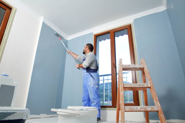 Environmental Consulting for Mold Prevention in Everett, MA