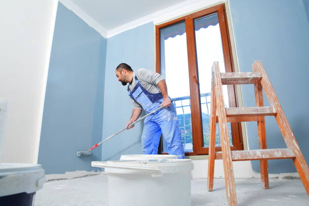  Everett, MA Mold Removal Pros