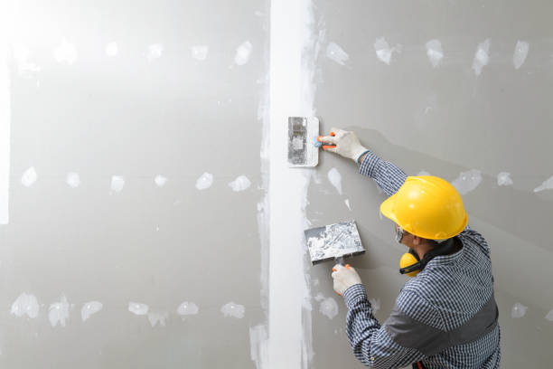 Dehumidification Services in Everett, MA
