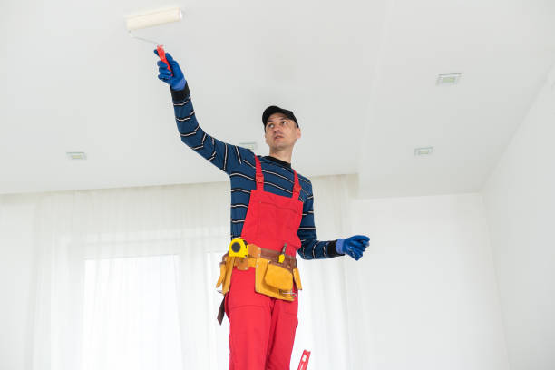 Best Mold Odor Removal Services  in Everett, MA