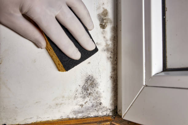 Best Post-Remediation Verification Testing  in Everett, MA