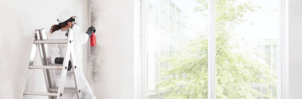Best Airborne Mold Testing  in Everett, MA